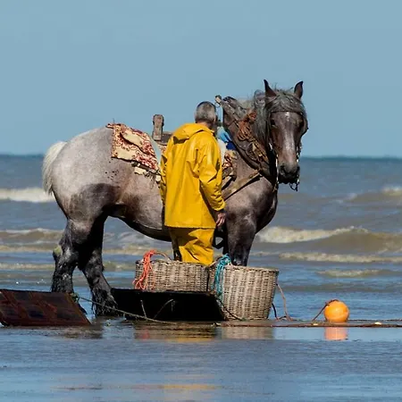 Thuishaven Ii Pansiyon Koksijde